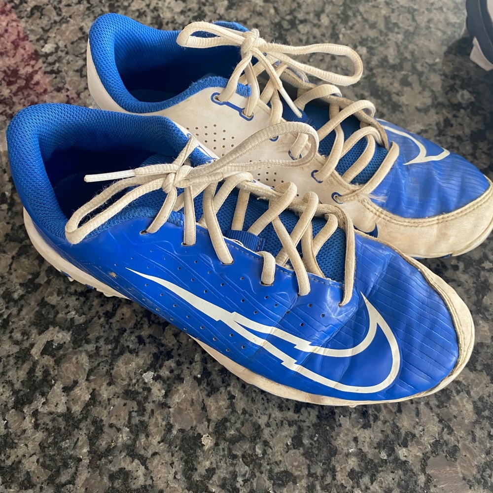 Nike Blue and White Sneakers
